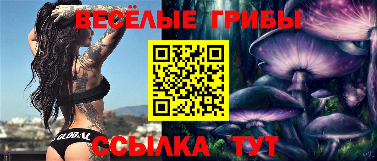 Галлюциногенные грибы Psilocybine cubensis Новороссийск