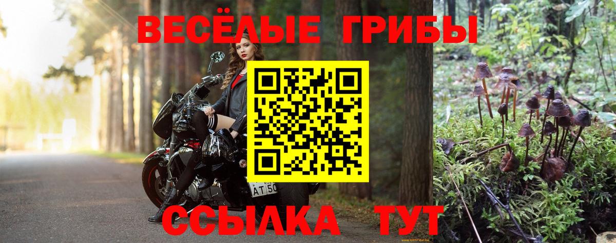 Псилоцибиновые грибы GOLDEN TEACHER  Вход с VPN  Новороссийск 
